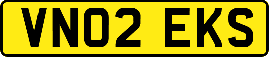 VN02EKS