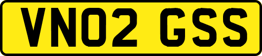 VN02GSS