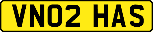 VN02HAS