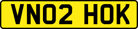 VN02HOK