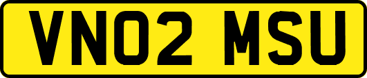 VN02MSU