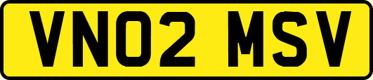 VN02MSV