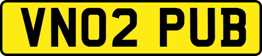VN02PUB