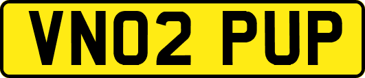 VN02PUP