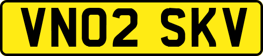 VN02SKV