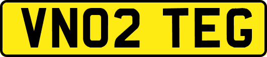 VN02TEG