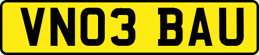VN03BAU