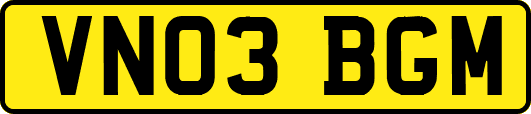 VN03BGM
