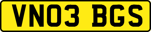 VN03BGS
