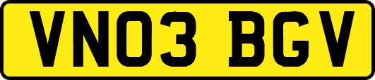 VN03BGV