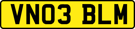 VN03BLM