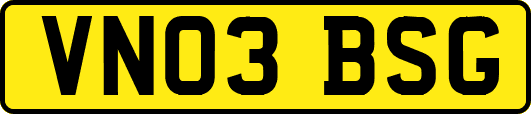 VN03BSG