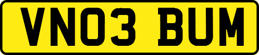 VN03BUM