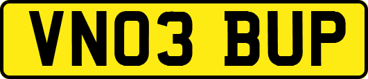 VN03BUP