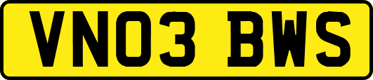 VN03BWS