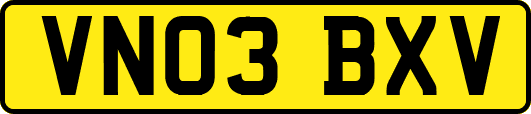 VN03BXV