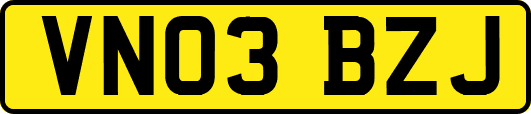 VN03BZJ