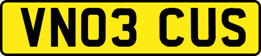 VN03CUS
