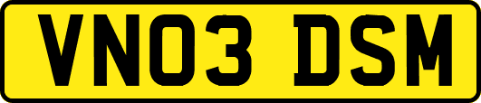 VN03DSM