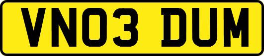 VN03DUM