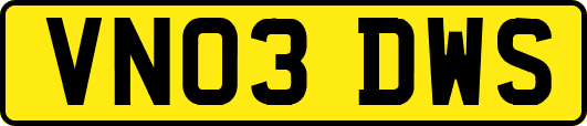 VN03DWS