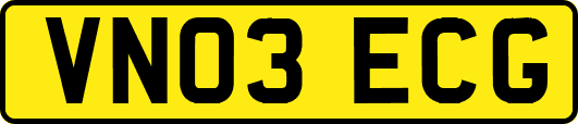 VN03ECG