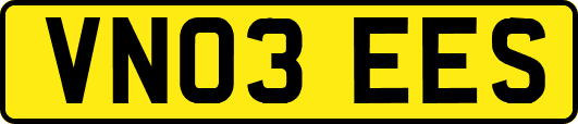 VN03EES