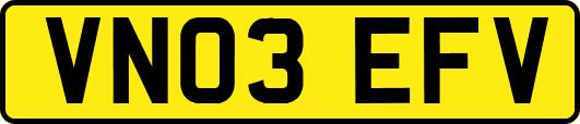 VN03EFV