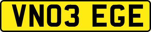 VN03EGE