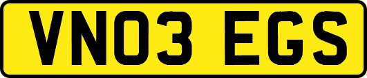 VN03EGS