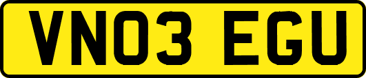VN03EGU