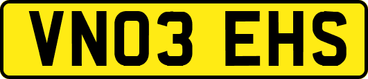 VN03EHS
