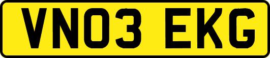 VN03EKG