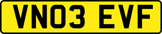 VN03EVF