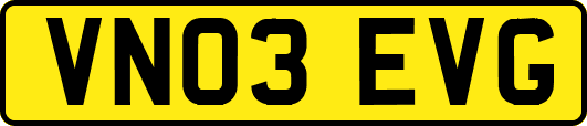 VN03EVG