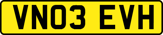 VN03EVH