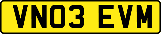 VN03EVM