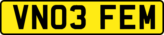 VN03FEM