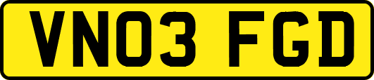 VN03FGD