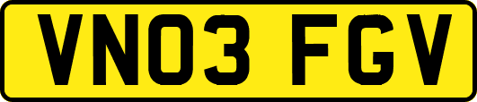 VN03FGV