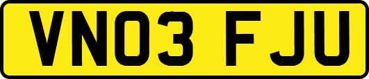 VN03FJU