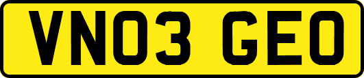 VN03GEO