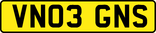 VN03GNS