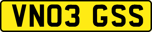 VN03GSS