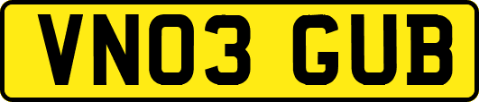 VN03GUB
