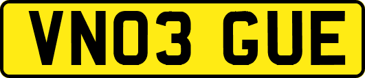 VN03GUE