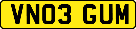 VN03GUM