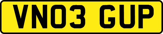 VN03GUP