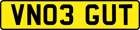 VN03GUT