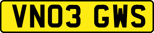 VN03GWS